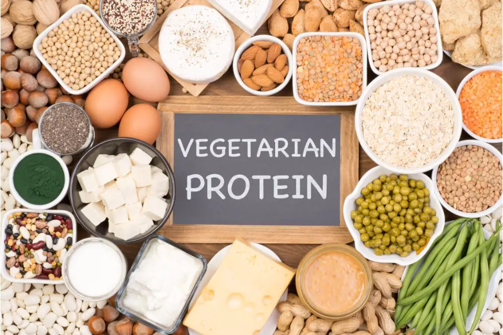 Food sources of vegetarian protein
