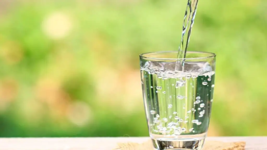 What Is Vegan Water