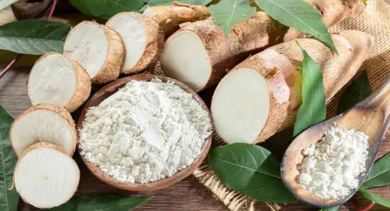 what is cassava good for