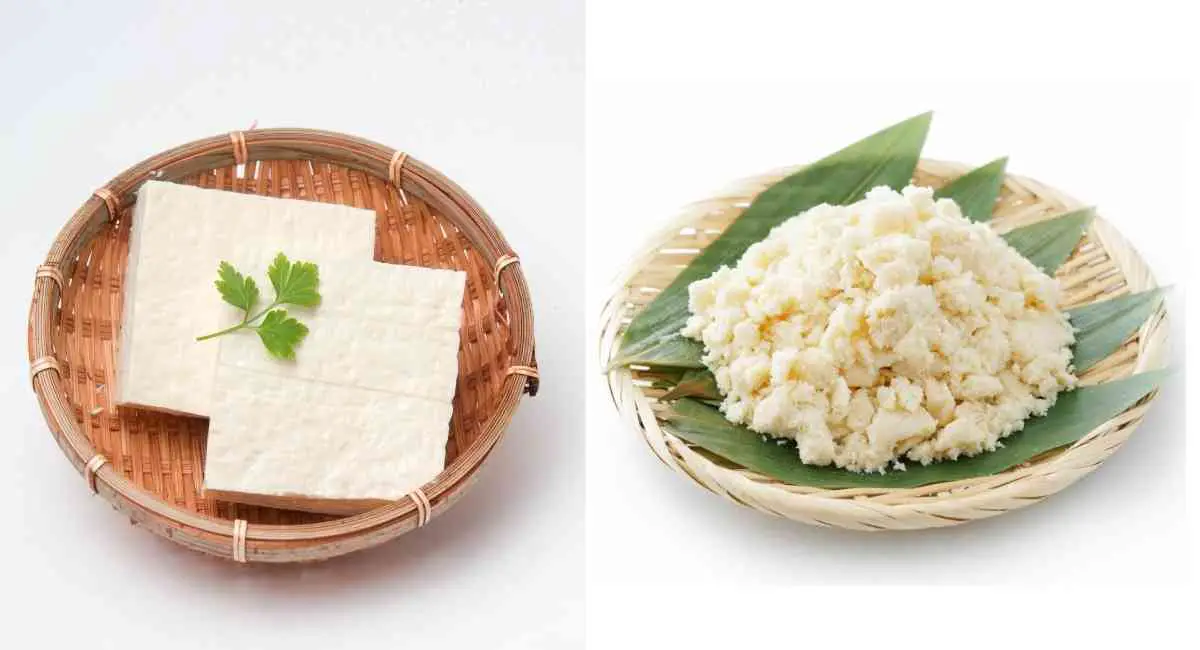 tofu vs bean curd