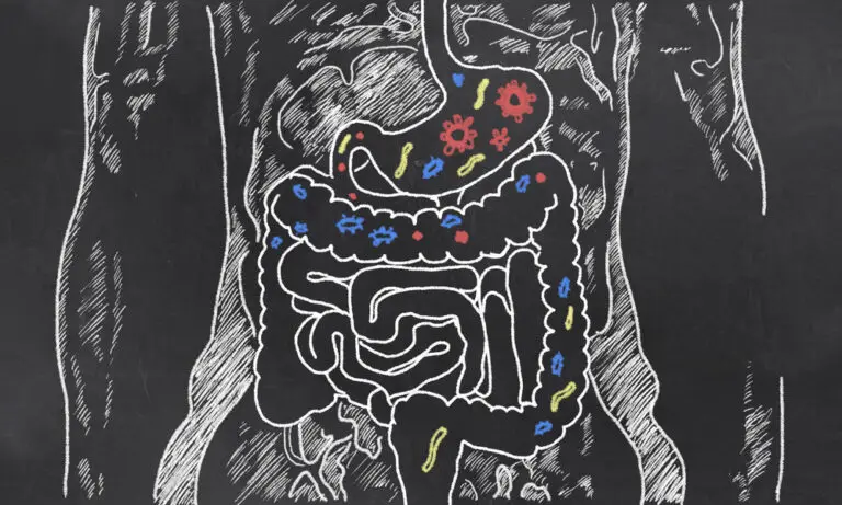 Intestines Sketch with Guts Bacteria
