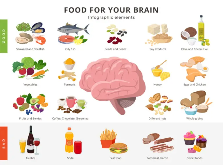 Healthy food and bad food for brains infographic elements in detailed flat design isolated on white background. Big collection of foods icons around the Brain illustration, medical infographic theme