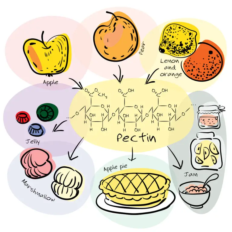 Colorful infographics: pectin production and use