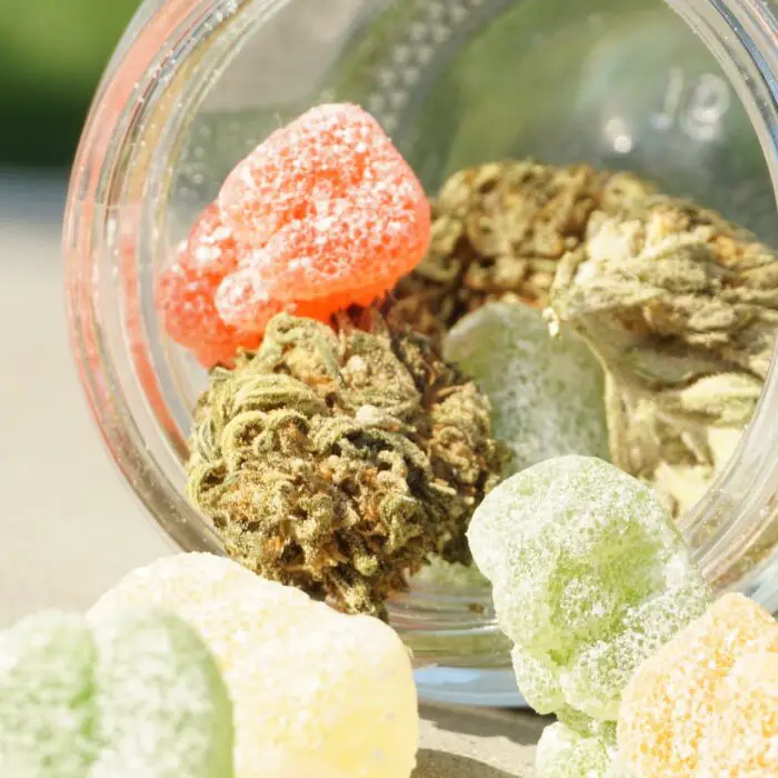 How to Determine the Correct Dosage for Cannabis Edibles