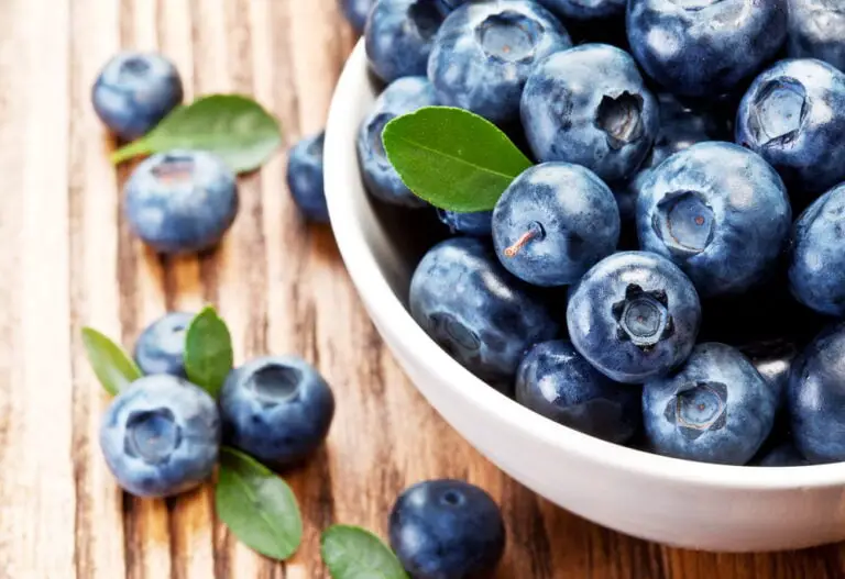 Blueberries in a bowl on a wooden table