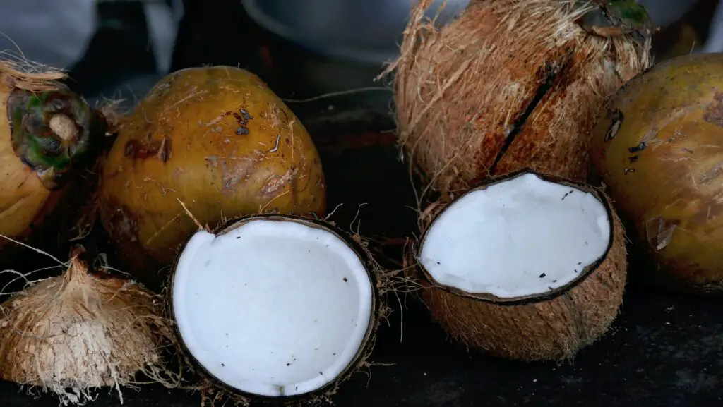 is coconut oil vegan